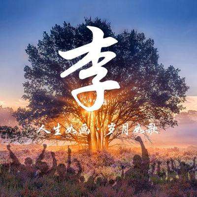 公募基金规模突破38万亿元连续11个月创新高